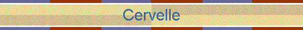 Cervelle